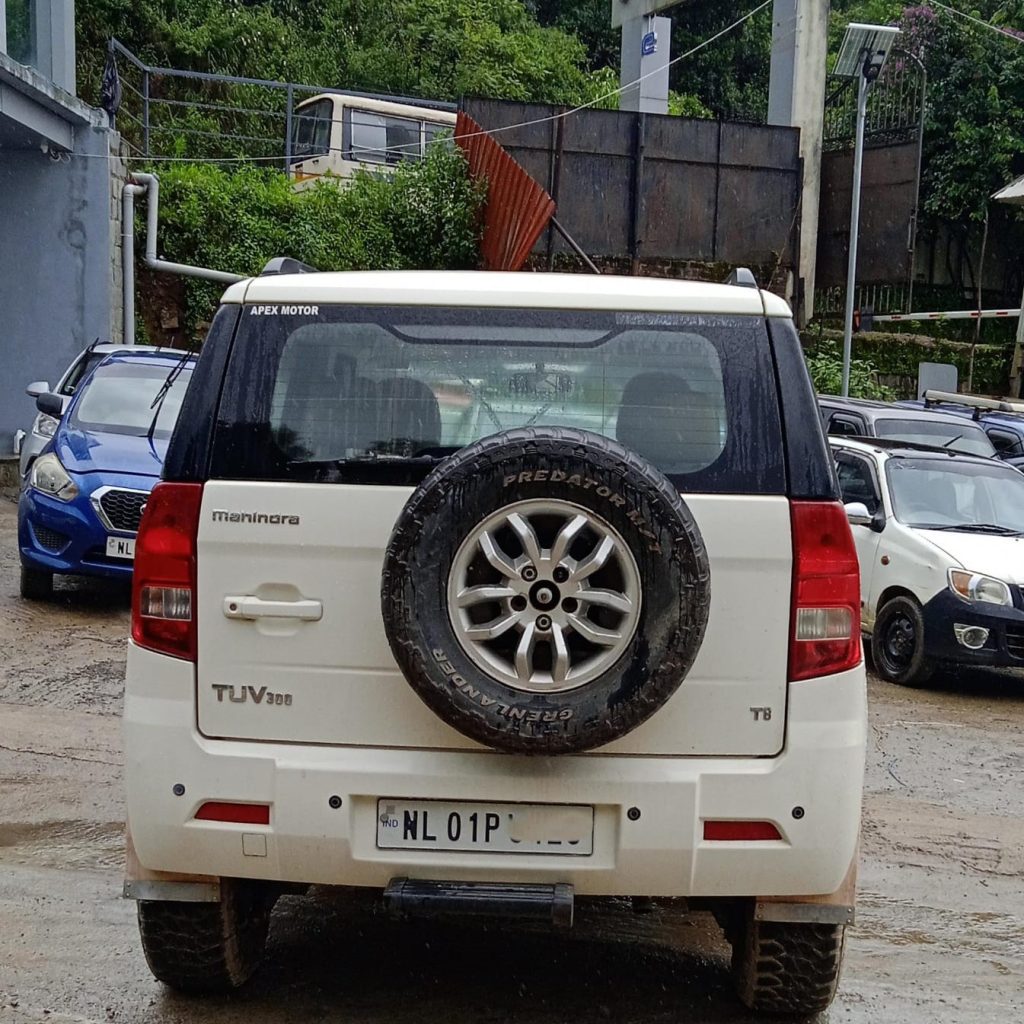 back